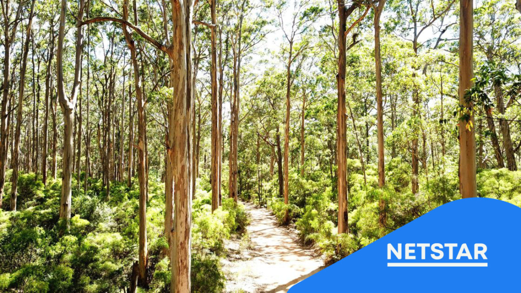 Remote Worker Safety